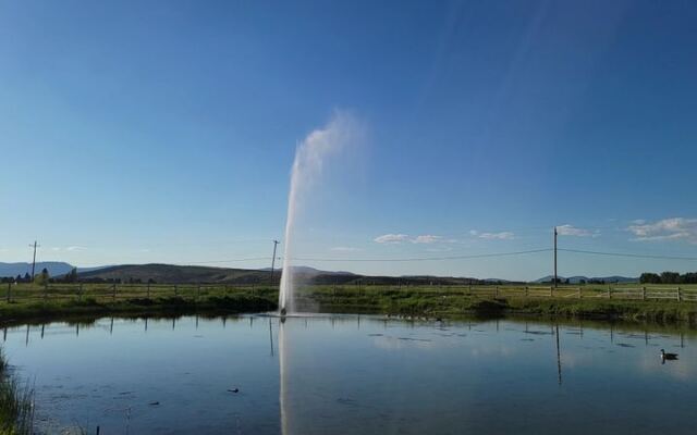 Oregon’s Only Active Geyser Started as a Drilling Accident a Century Ago and Still Erupts Today