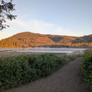 This Oregon Boardwalk Runs 2 Miles Through a Bird Sanctuary Where Herons Outnumber People