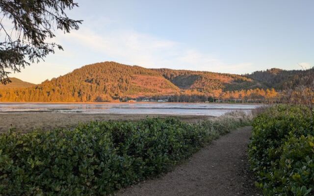 This Oregon Boardwalk Runs 2 Miles Through a Bird Sanctuary Where Herons Outnumber People