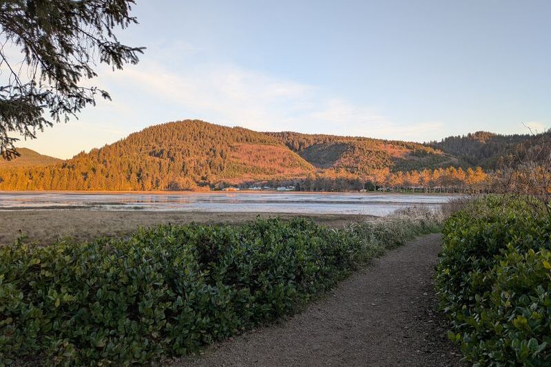 This Oregon Boardwalk Runs 2 Miles Through a Bird Sanctuary Where Herons Outnumber People