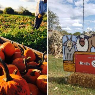 13 Ohio Pumpkin Patches Where The Food Is Half The Reason To Visit