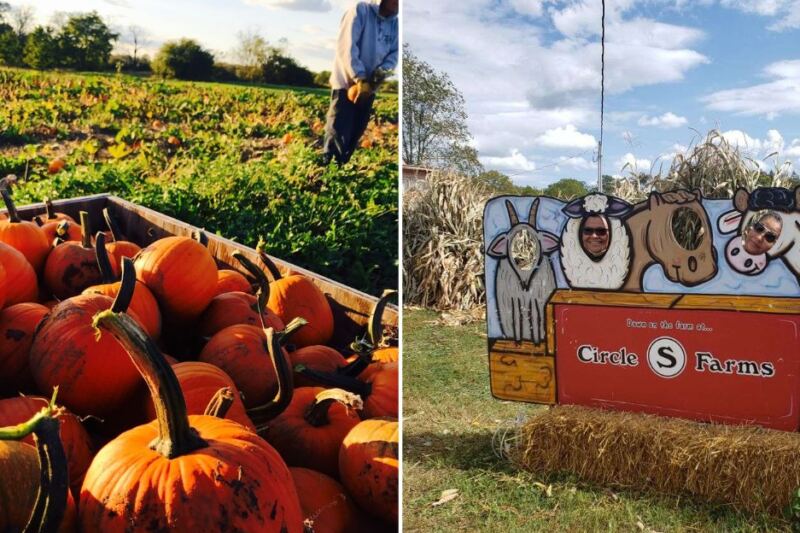13 Ohio Pumpkin Patches Where The Food Is Half The Reason To Visit