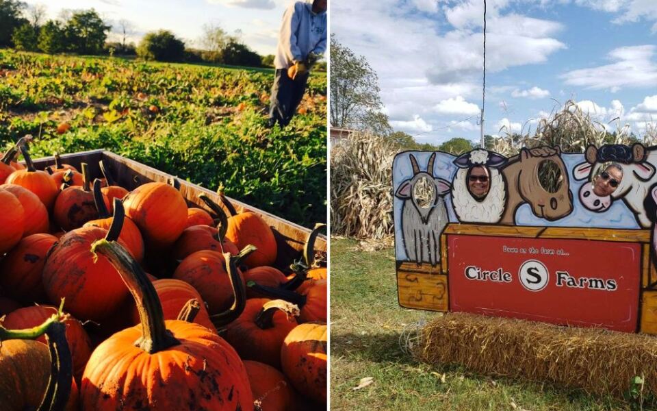 13 Ohio Pumpkin Patches Where The Food Is Half The Reason To Visit