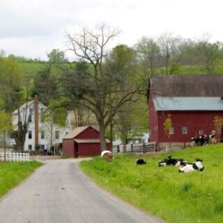 This Tiny Ohio Amish Town Could Be The Quiet Fall Escape You’ve Been Craving