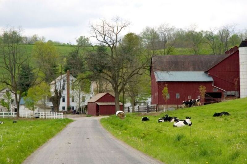 This Tiny Ohio Amish Town Could Be The Quiet Fall Escape You’ve Been Craving