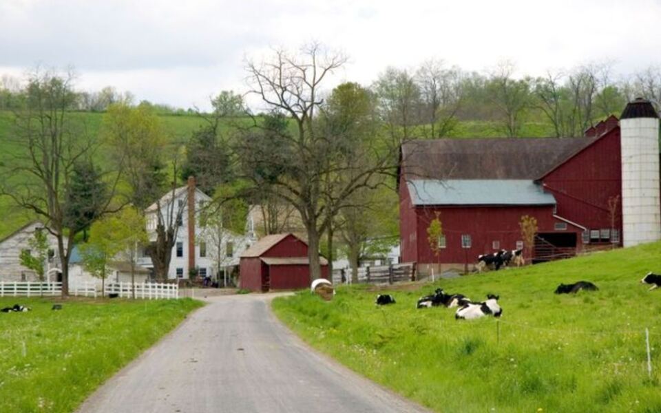This Tiny Ohio Amish Town Could Be The Quiet Fall Escape You’ve Been Craving