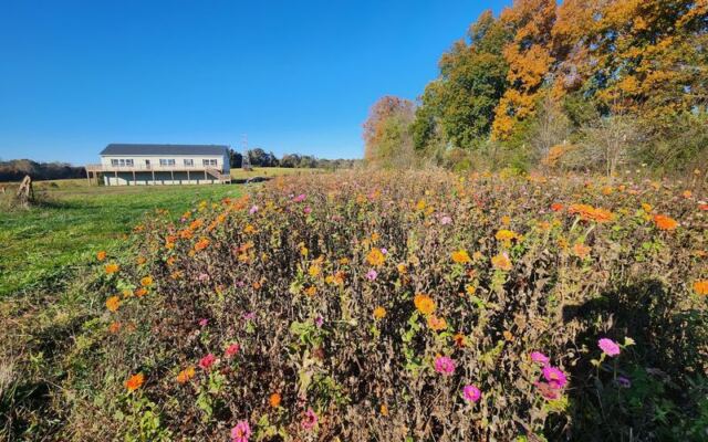 Just 40 Minutes From Raleigh, This North Carolina Farm Hands You Persimmons Straight Off The Tree