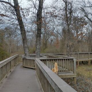 A Free Half-Mile Boardwalk Floats Through This Hidden Oklahoma Refuge Most Drivers Pass Right By