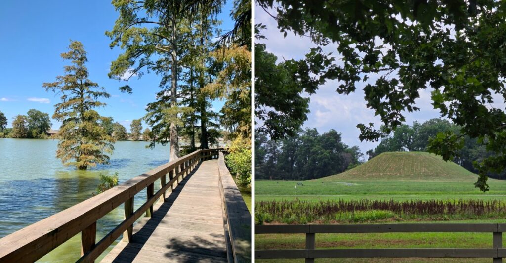 This Haunted Arkansas Trail Winds Past Ancient Burial Mounds Just In Time For Halloween