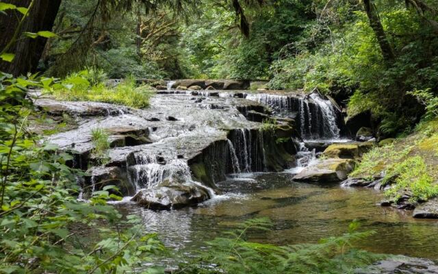 This Oregon Forest Trail Delivers the Kind of Quiet That’s Getting Harder to Find Anywhere in America