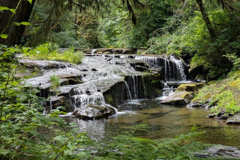 This Oregon Forest Trail Delivers the Kind of Quiet That’s Getting Harder to Find Anywhere in America