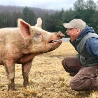 The 9 New York Animal Sanctuaries Where One Rescued Resident Will Steal Your Whole Afternoon