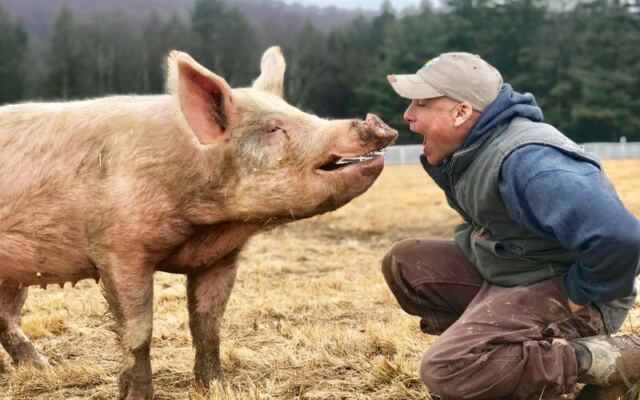 The 9 New York Animal Sanctuaries Where One Rescued Resident Will Steal Your Whole Afternoon