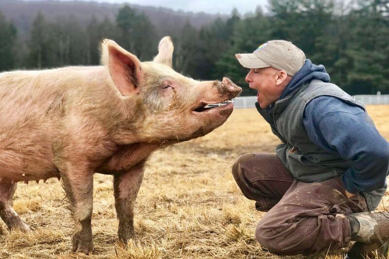 The 9 New York Animal Sanctuaries Where One Rescued Resident Will Steal Your Whole Afternoon
