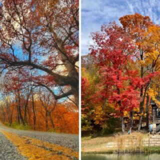 This Breathtaking Illinois State Park Has Canyons and Waterfalls That Look Straight Out of an Adventure Movie