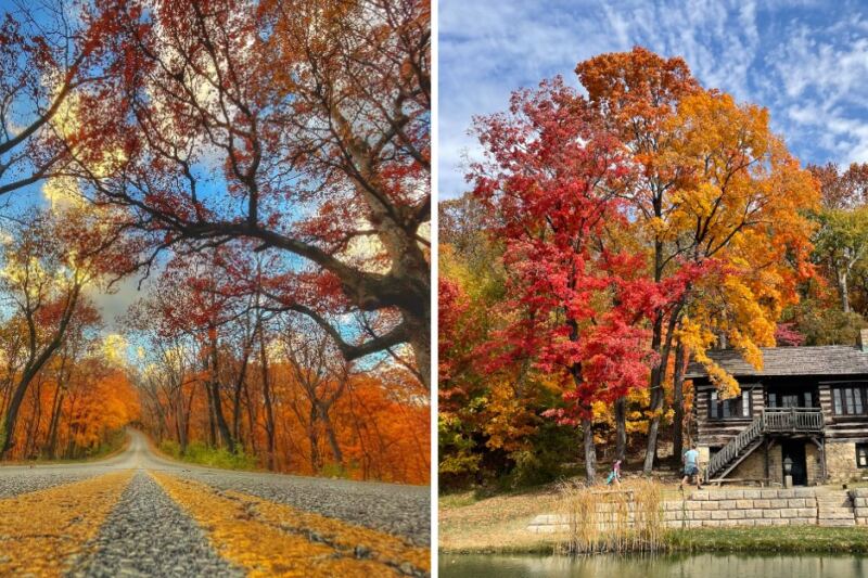 This Breathtaking Illinois State Park Has Canyons and Waterfalls That Look Straight Out of an Adventure Movie