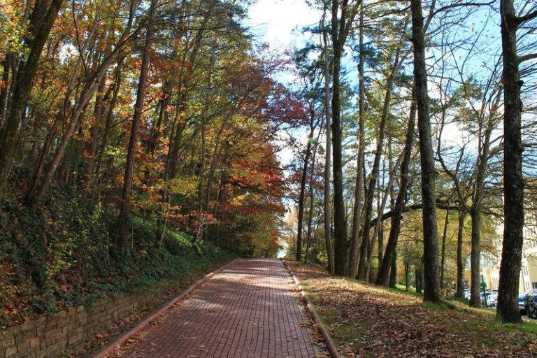9 Free Arkansas Outings With Mountain Views, River Scenery, And Brilliant Fall Leaves