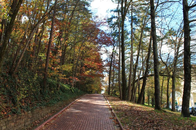 9 Free Arkansas Outings With Mountain Views, River Scenery, And Brilliant Fall Leaves