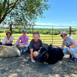 On A Breezy Hilltop Near Kellyville, This Oklahoma Farm Lets You Comb Your Fingers Through Shaggy Highland Cows