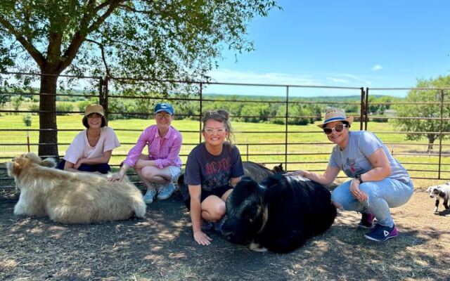 On A Breezy Hilltop Near Kellyville, This Oklahoma Farm Lets You Comb Your Fingers Through Shaggy Highland Cows