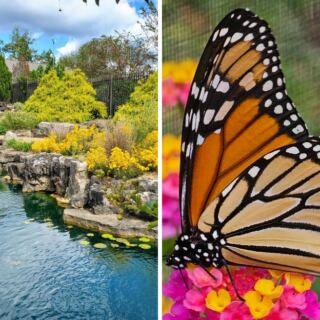 This Arkansas Garden Lights Up With Thousands Of Fireflies And Turns A Warm Evening Into A Glowing Wonderland