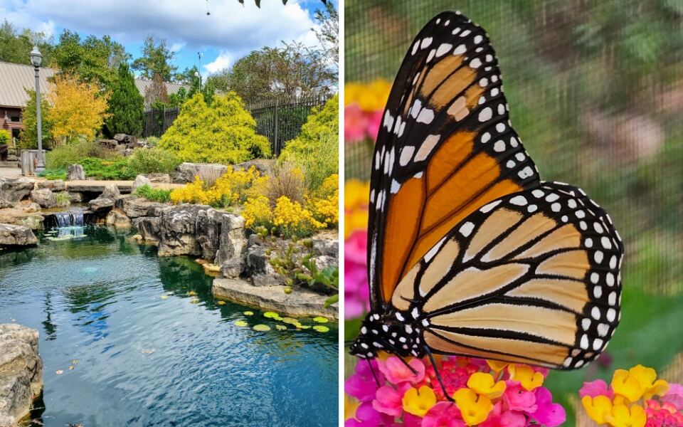 This Arkansas Garden Lights Up With Thousands Of Fireflies And Turns A Warm Evening Into A Glowing Wonderland