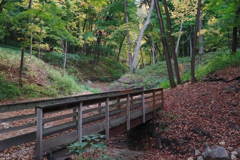 The Hidden 3-Mile Minnesota Trail That Feels Like Walking Into A Fairy Tale Forest