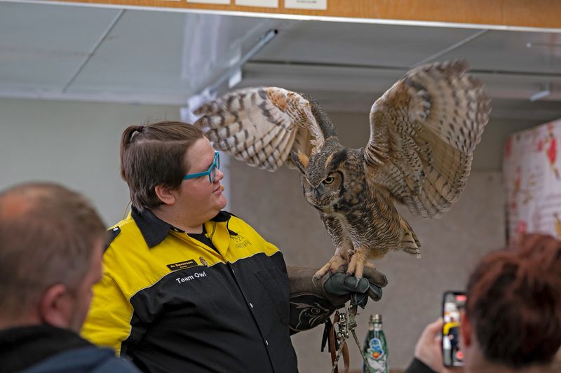 This Minnesota Owl Museum Is The Secret Detour Bird Lovers Won’t Want To Miss