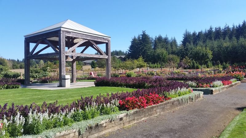 This Free Oregon Garden Spans 80 Acres, Yet Few People Seem to Know About It