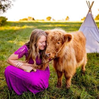 The North Carolina Farm Where You Actually Get To Hug A Fluffy Highland Cow