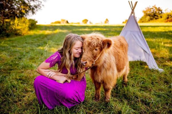 The North Carolina Farm Where You Actually Get To Hug A Fluffy Highland Cow