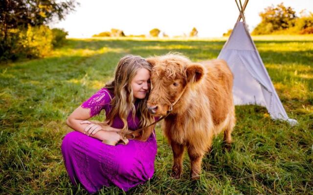 The North Carolina Farm Where You Actually Get To Hug A Fluffy Highland Cow