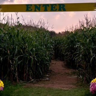 These 6 Minnesota Corn Mazes Get Seriously Spooky Once The Sun Goes Down