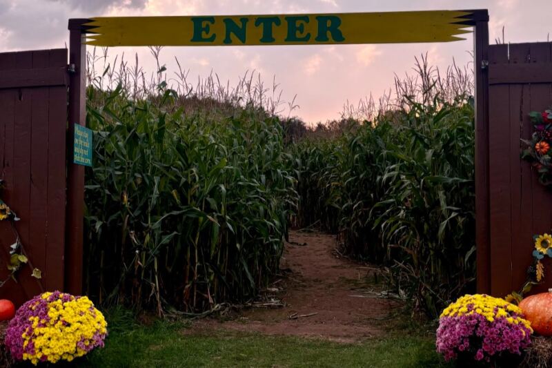 These 6 Minnesota Corn Mazes Get Seriously Spooky Once The Sun Goes Down