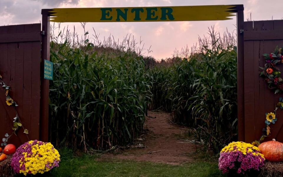 These 6 Minnesota Corn Mazes Get Seriously Spooky Once The Sun Goes Down
