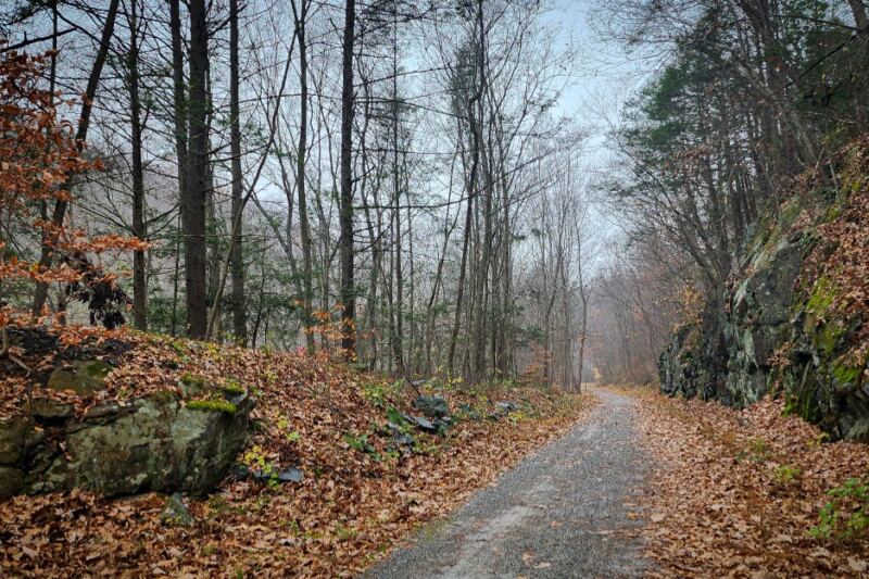 13 New Jersey Walks For People Who Love Fall Leaves More Than Steep Climbs