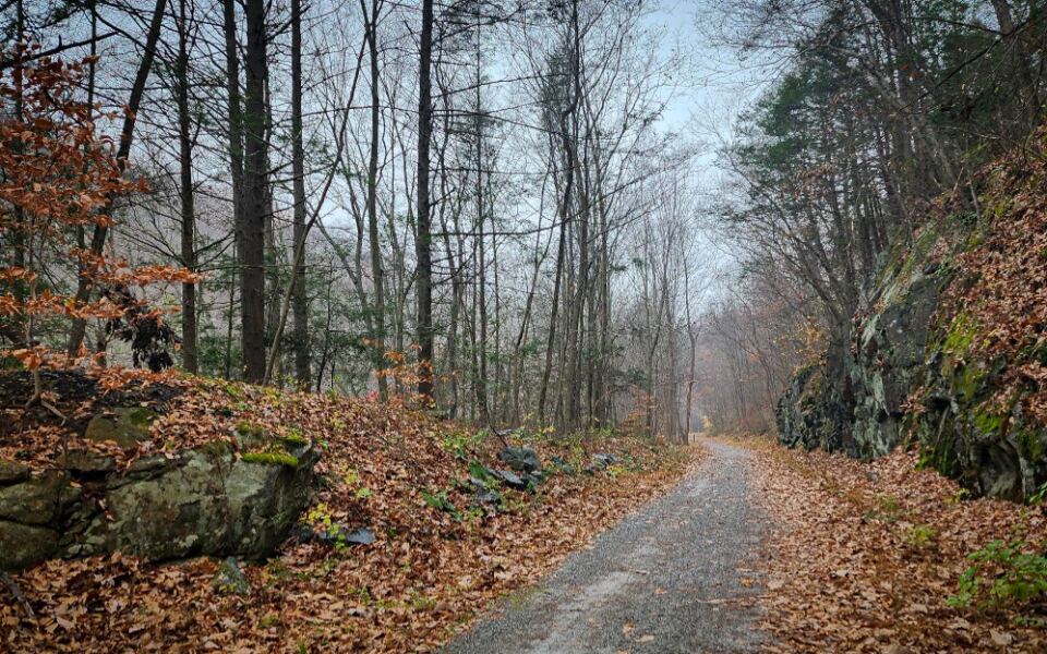 13 New Jersey Walks For People Who Love Fall Leaves More Than Steep Climbs