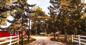 This Little Colorado Apple Orchard Is Worth Visiting Just for the Donuts