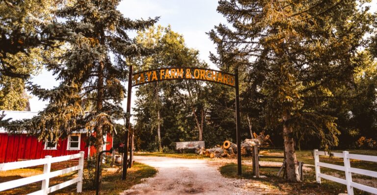 This Little Colorado Apple Orchard Is Worth Visiting Just for the Donuts