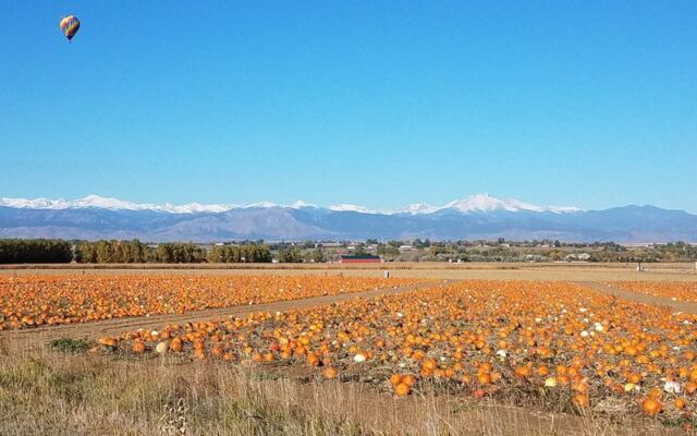Colorado’s Old Pumpkin Farm Near Longmont Fills Its Fields With Gourds, Hayrides, And A Corn Maze