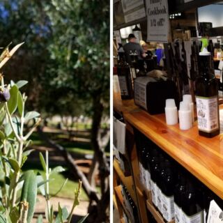 This Queen Creek Farm Pours Free Tastings Of Olive Oil Pressed From Its Own Arizona Trees