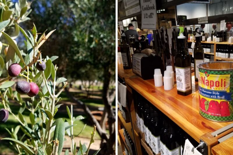 This Queen Creek Farm Pours Free Tastings Of Olive Oil Pressed From Its Own Arizona Trees