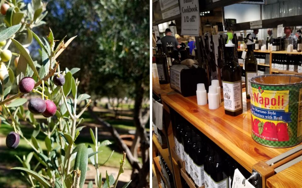This Queen Creek Farm Pours Free Tastings Of Olive Oil Pressed From Its Own Arizona Trees