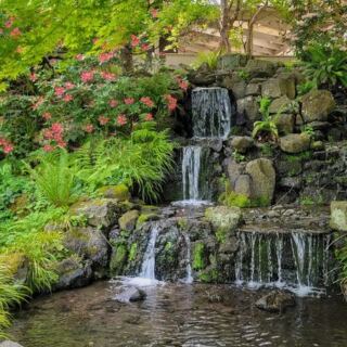 This Oregon Garden Earned a Spot Among America’s Best, With Waterfalls Tucked Along Its Winding Paths