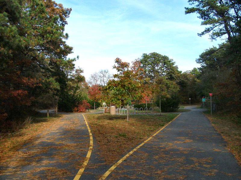 Skip the Steep Trails: These 12 Massachusetts Walks Put Fall Color Within Easy Reach