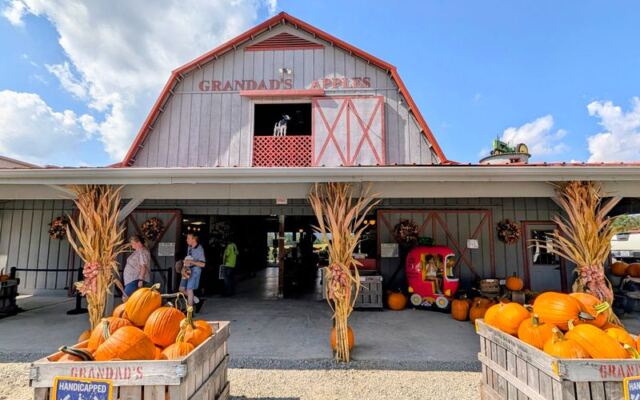 This North Carolina Apple Orchard Turns Fall Into Pumpkins, Hot Donuts And Cider You Can’t Resist