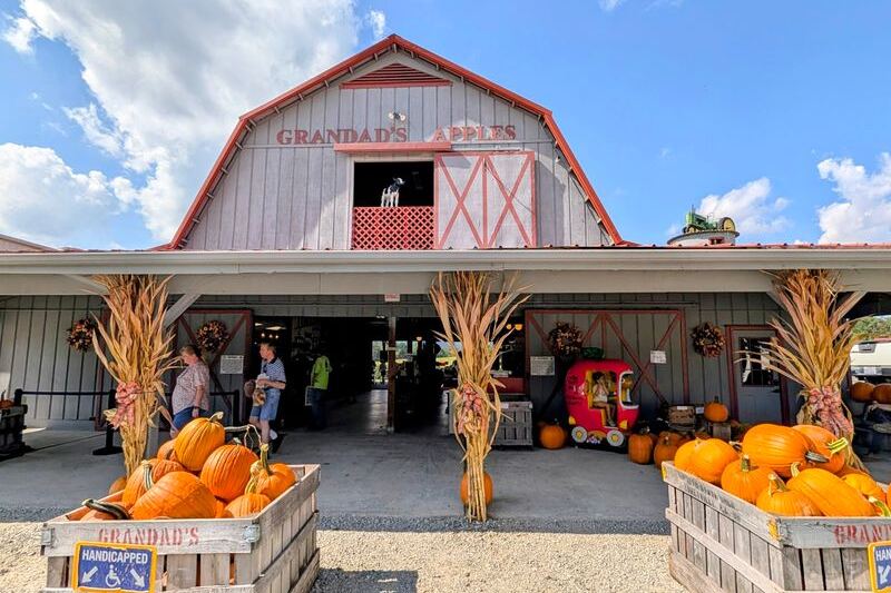 This North Carolina Apple Orchard Turns Fall Into Pumpkins, Hot Donuts And Cider You Can’t Resist