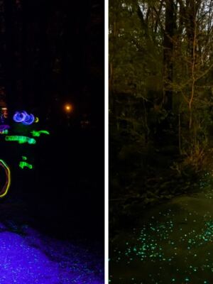 This Glowing Arkansas Bike Trail Lights Up After Dark And Makes Night Rides Feel Like Another World