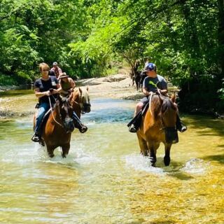 7 Arkansas Horseback Rides Where The Scenery Makes You Stop And Stare
