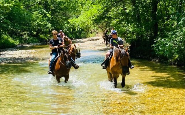 7 Arkansas Horseback Rides Where The Scenery Makes You Stop And Stare